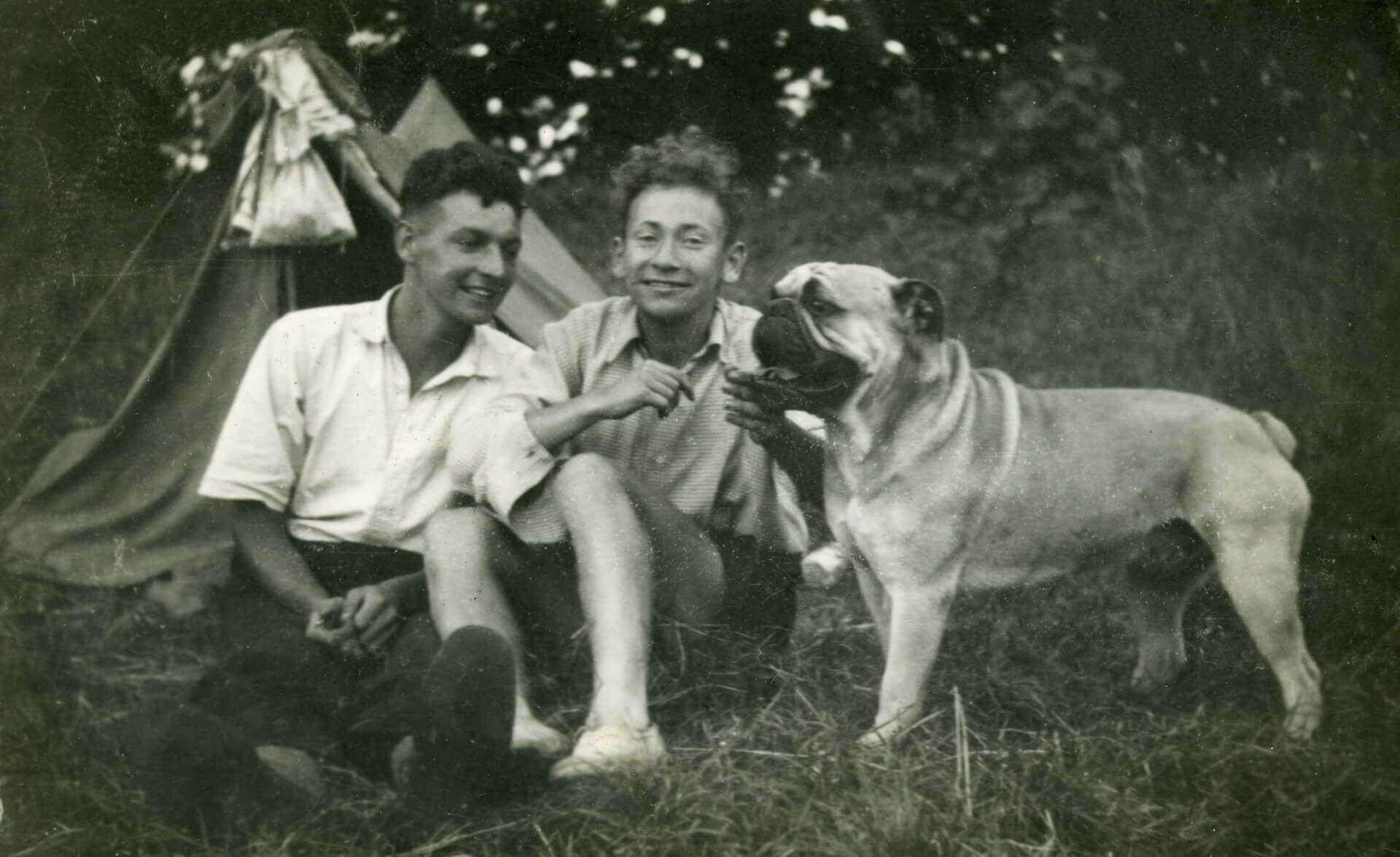 example image 0